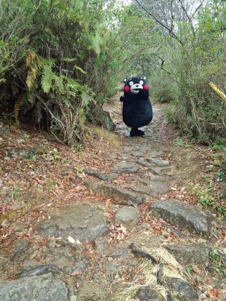 熊野古道 (27).JPG